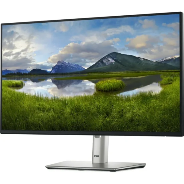 Dell P2425H 23.8″ – Monitor FHD IPS 100Hz con USB