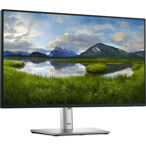 Dell P2425H 23.8″ – Monitor FHD IPS 100Hz con USB